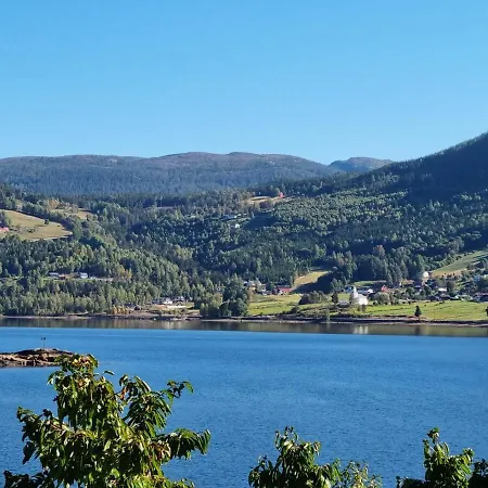 Great White In 度假居 *